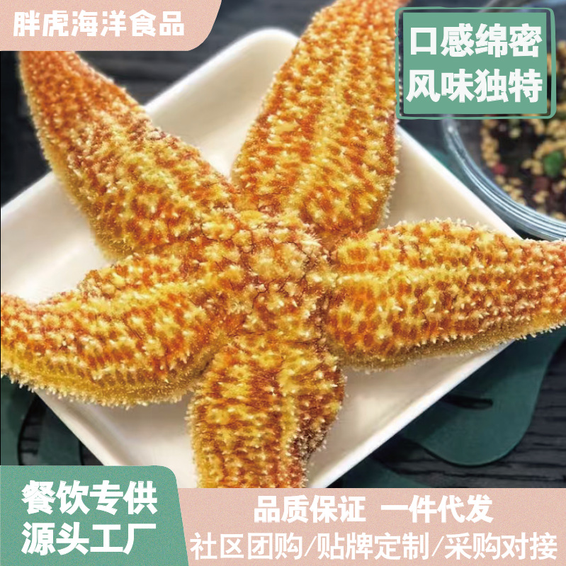 Морская звезда сухая оптом из Китая для декора и творчества