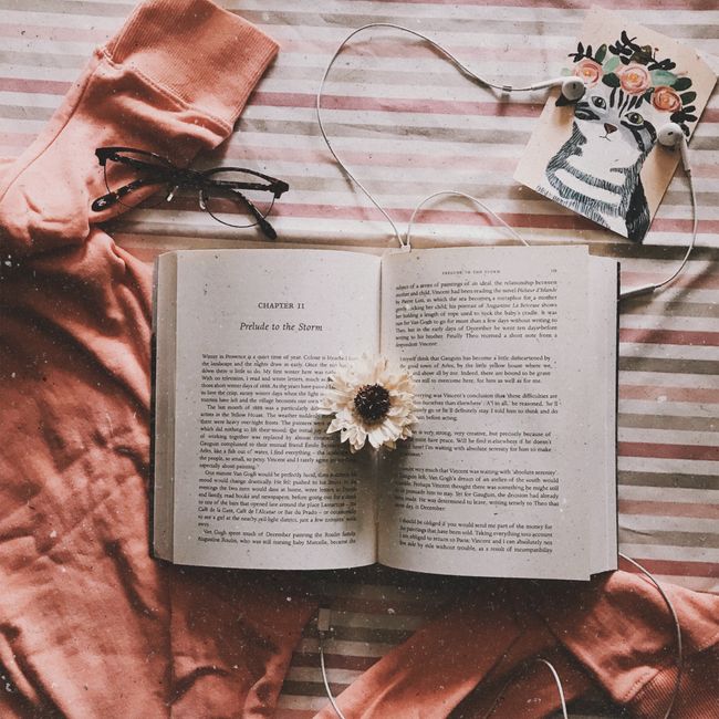 Принадлежности для книг